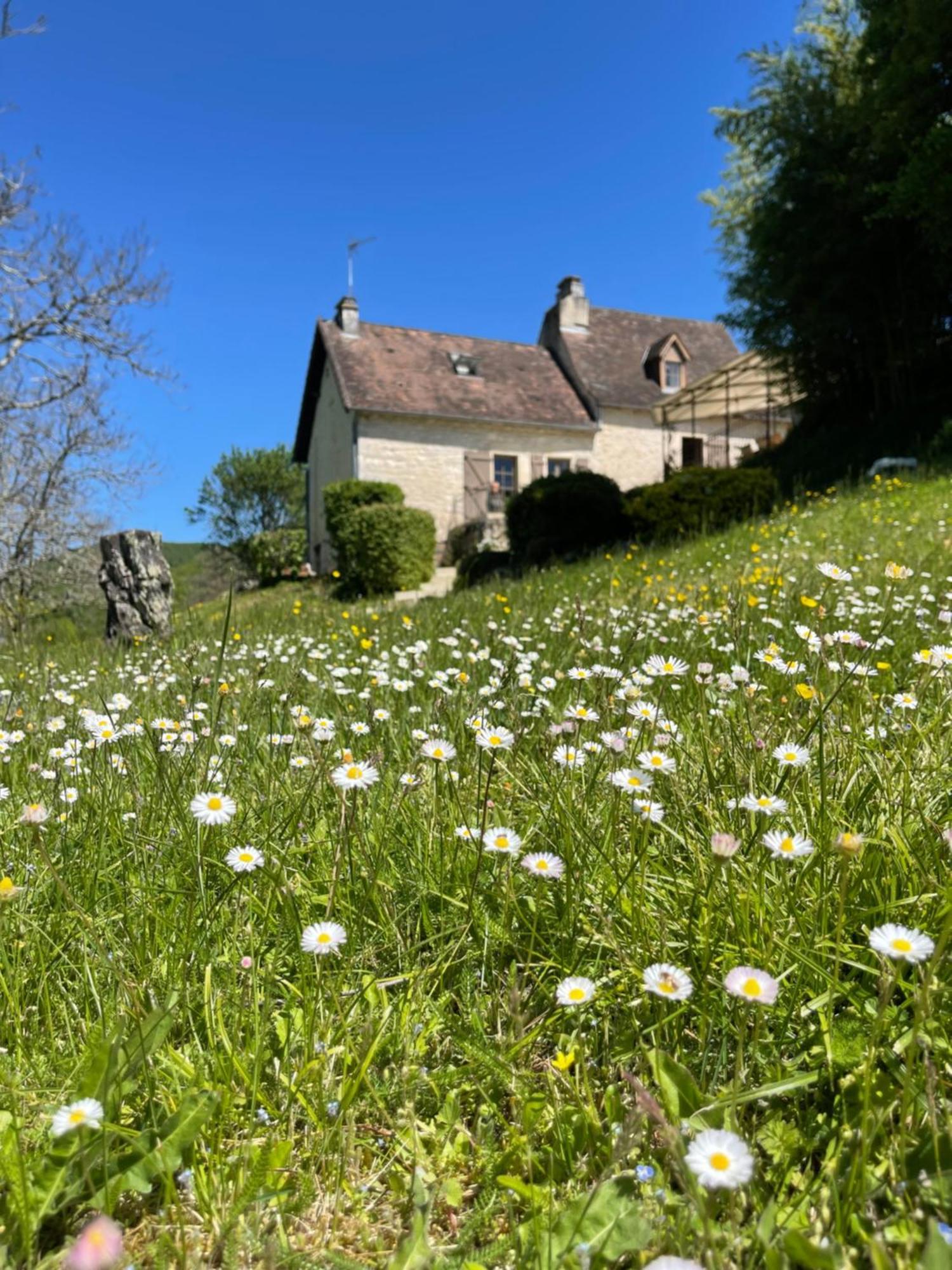 Вилла Domaine Du Bonheur En Pierre Avec Piscine, Proche Sarlat Carlux Экстерьер фото